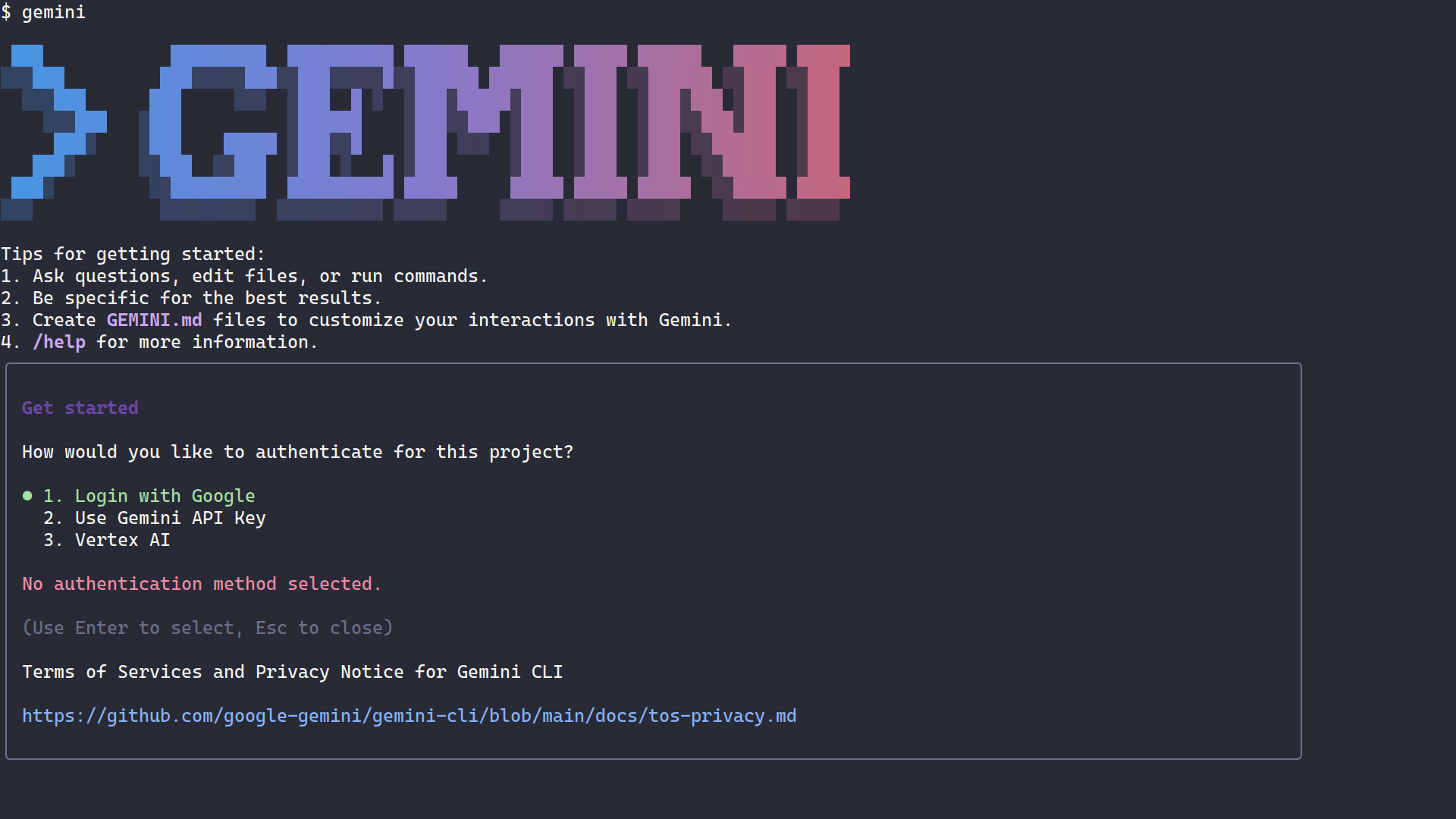 Gemini CLI Authentication Options