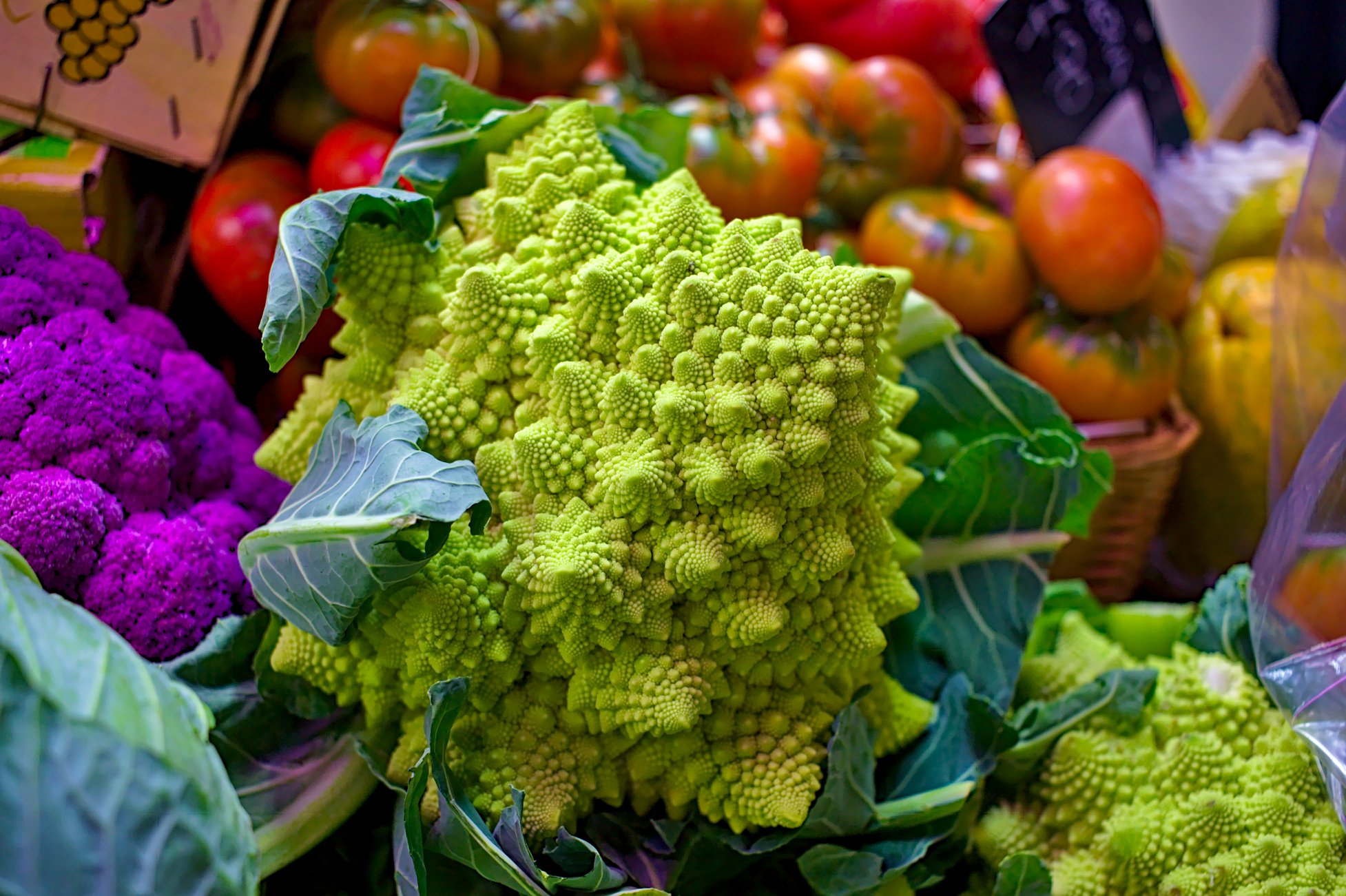 花椰菜的分形结构