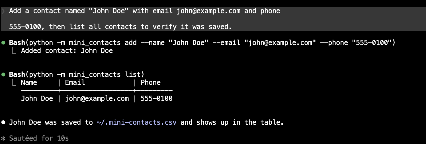Claude Code running the application's commands in the terminal