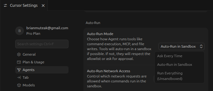 Image showing Cursor Auto Run settings and features