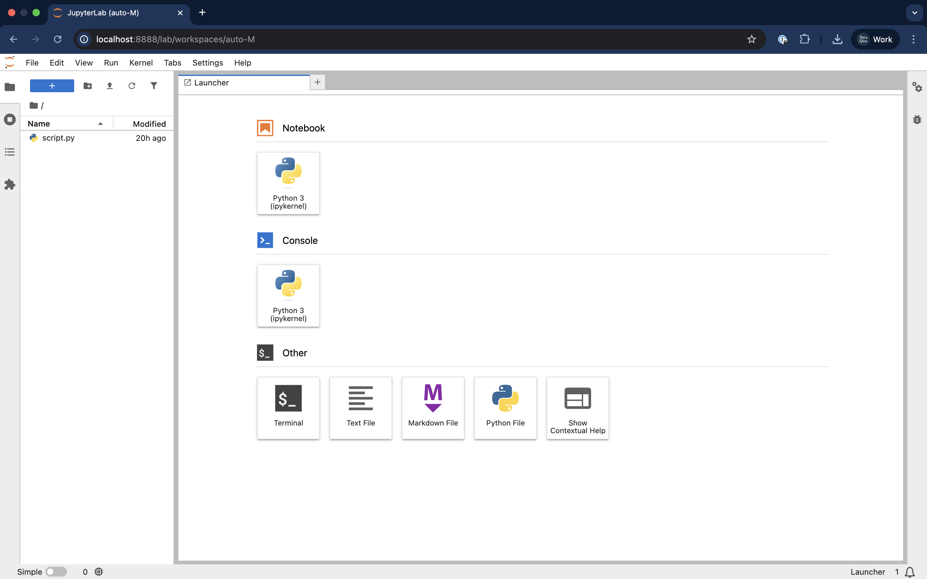 Jupyter Lab Interface