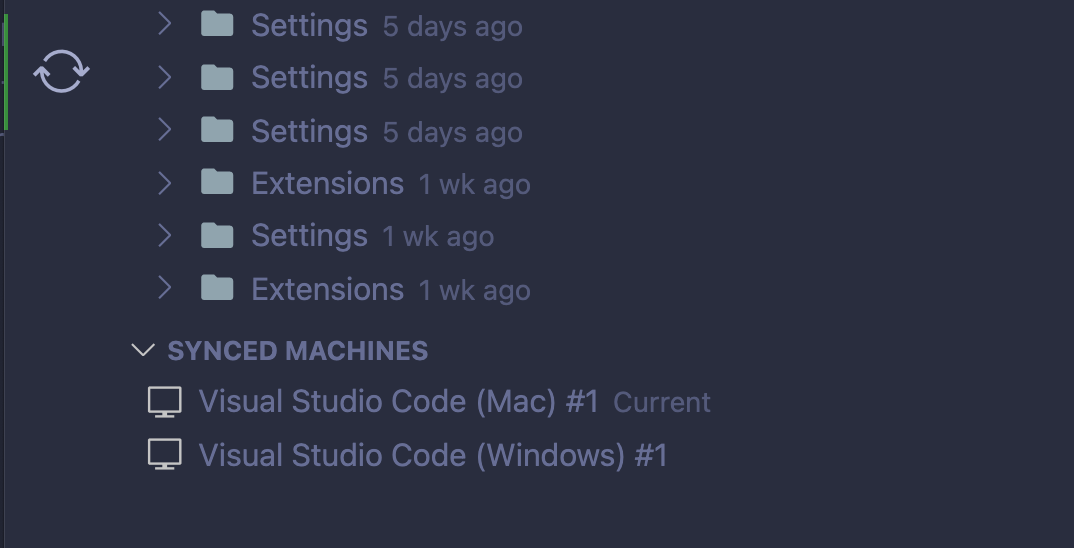 VS Code Settings Sync Data