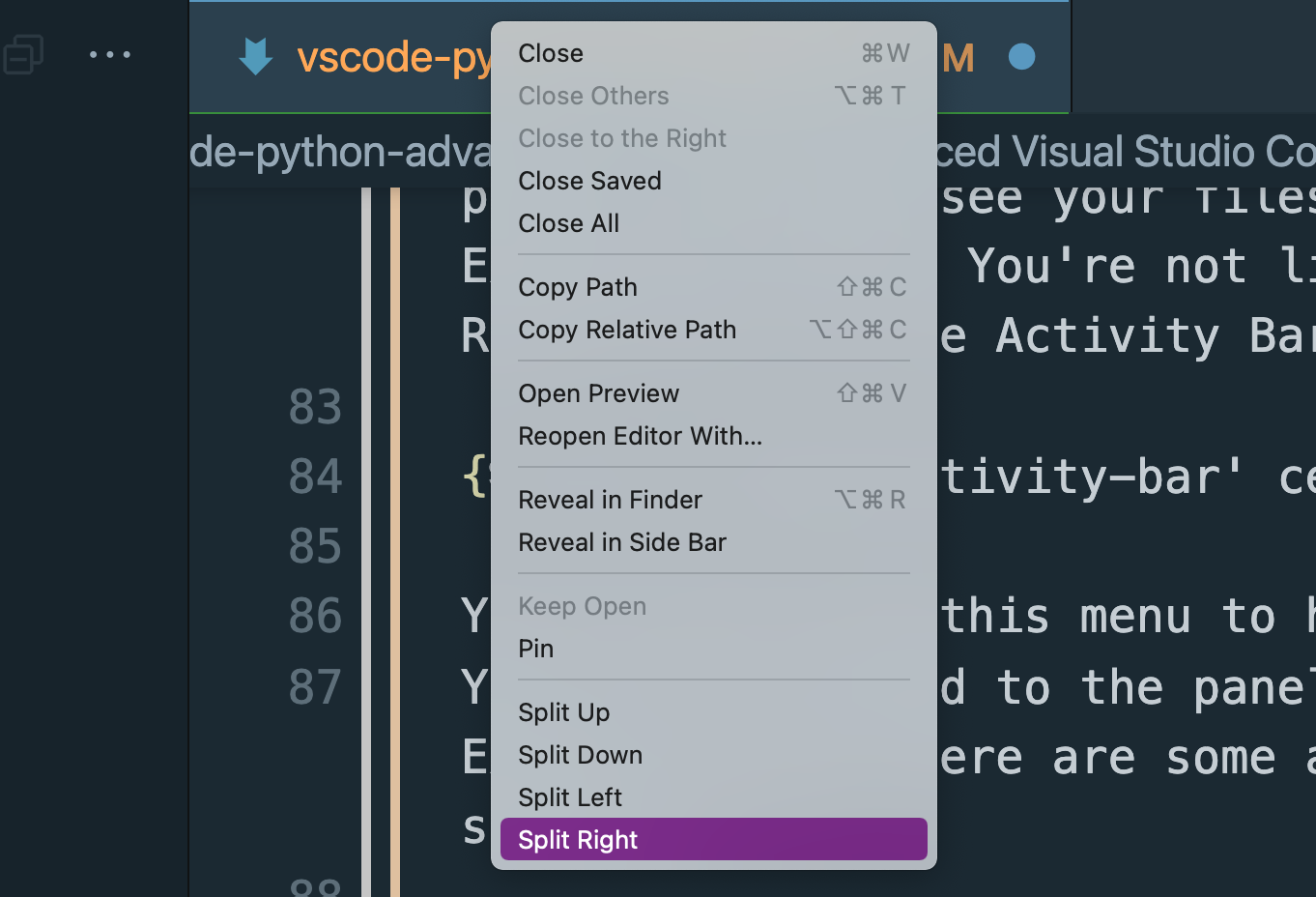 VS Code splitting a panel